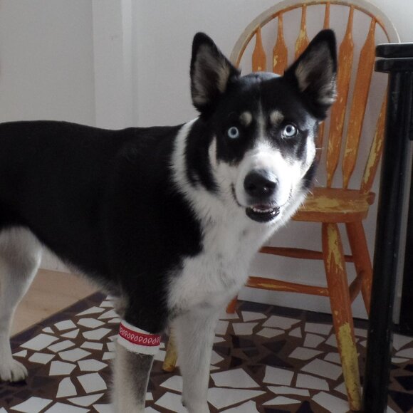 Handmade Bracelet or Bag Swag - Picture 8 of 10